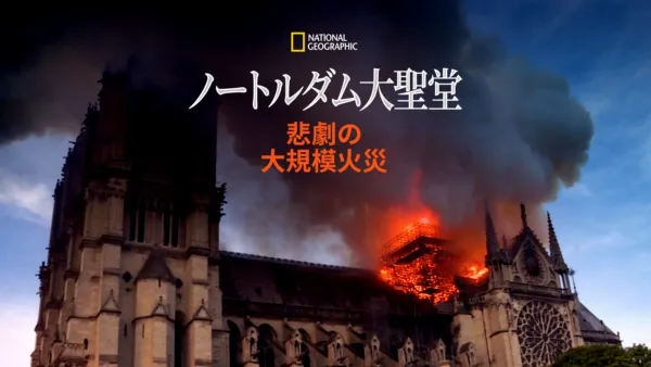 thumbnail - ノートルダム大聖堂：悲劇の大規模火災