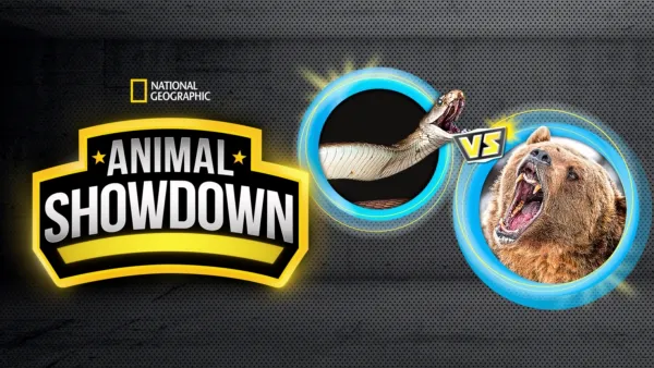 thumbnail - Animal Showdown