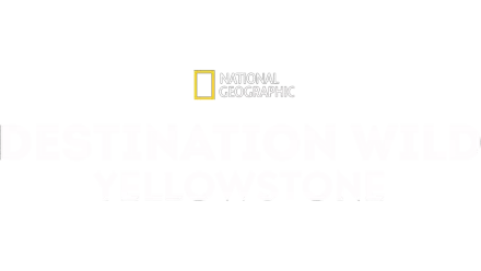 Destination Wild: Yellowstone