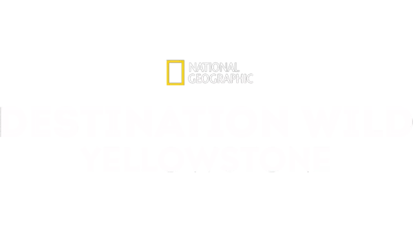 Destination Wild: Yellowstone