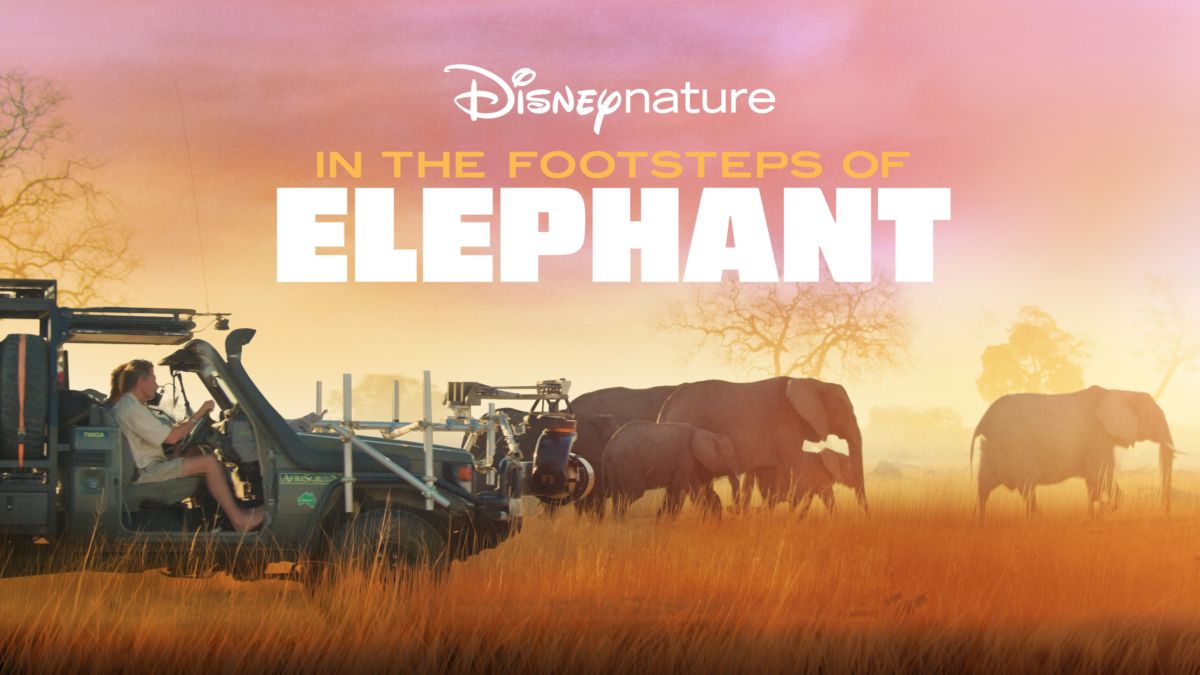 Watch In the Footsteps of Elephant Full Movie Disney+