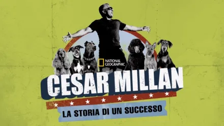 thumbnail - Cesar Millan: La Storia Di Un Successo