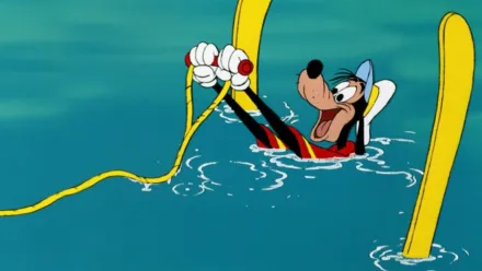 Dingo fait de la natation
