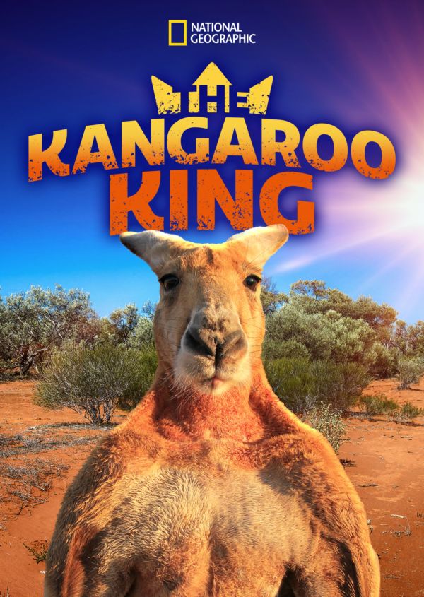 The Kangaroo King