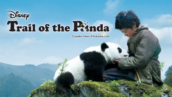 thumbnail - Trail of the Panda