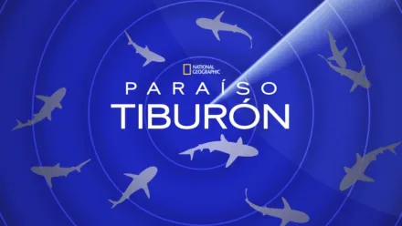 thumbnail - Paraíso Tiburón