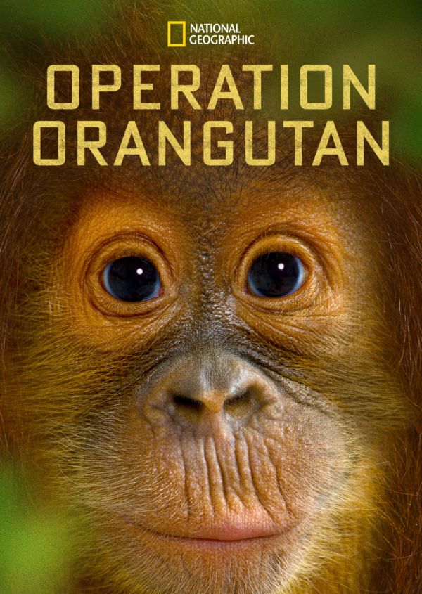 Operation Orangutan on Disney+ UK