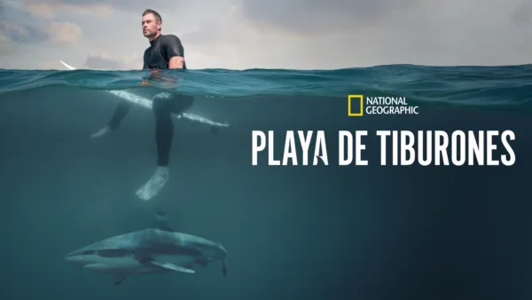 thumbnail - Playa de tiburones