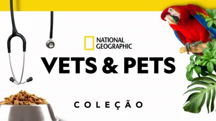 thumbnail - Veterinários e Pets