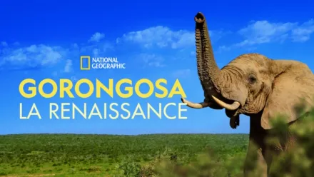 thumbnail - Gorongosa : la renaissance