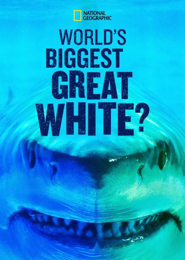 World's Biggest Great White? on Disney+ AU