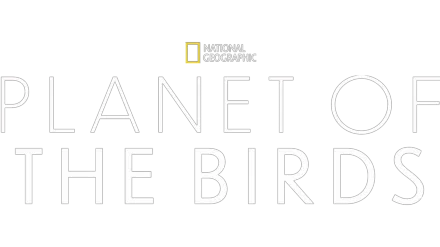 Planet of the Birds