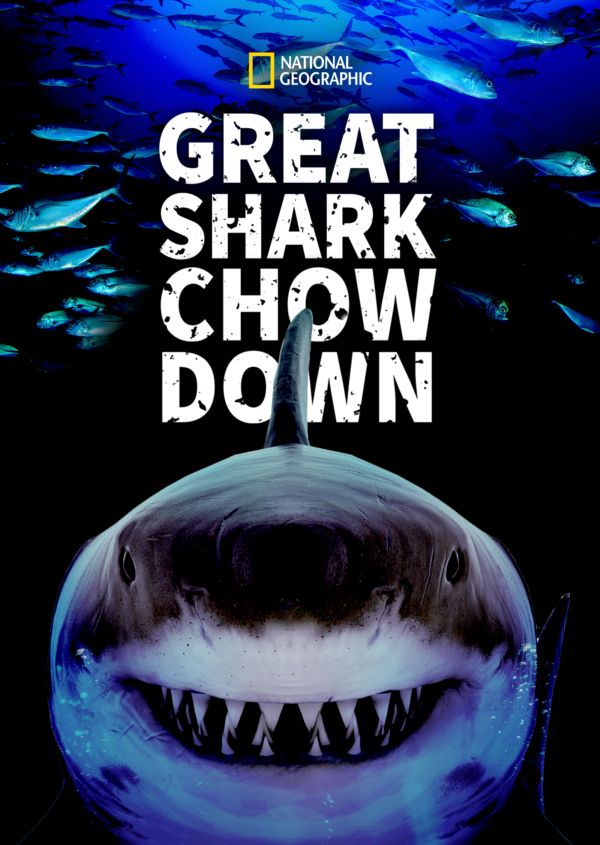 Great Shark Chow Down on Disney+ UK