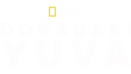 Doğadaki Yuva