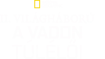 II. világháború: A vadon túlélői