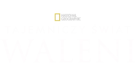 Tajemniczy świat waleni