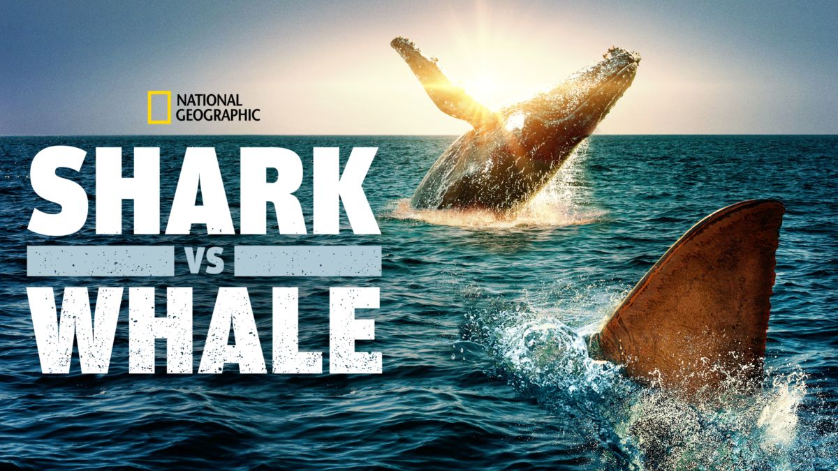 Watch Shark vs. Whale Full Movie Disney+