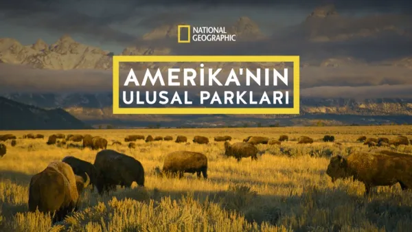 thumbnail - Amerika'nın Ulusal Parkları