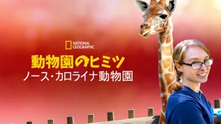 thumbnail - 動物園のヒミツ：ノース・カロライナ動物園