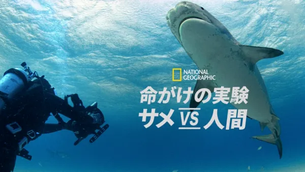 thumbnail - 命がけの実験：サメ vs 人間