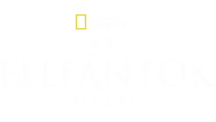 Az elefántok titkai