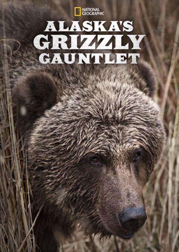 Alaska's Grizzly Gauntlet on Disney+ AU