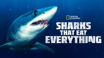 thumbnail - Unersättlich: Haie, die alles fressen