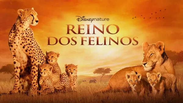 thumbnail - Reino dos Felinos