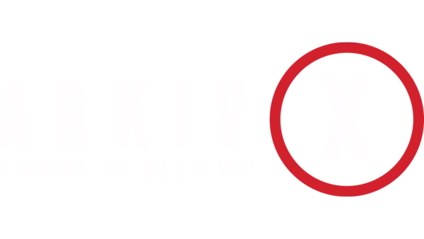 Arkiv X: I Want To Belive