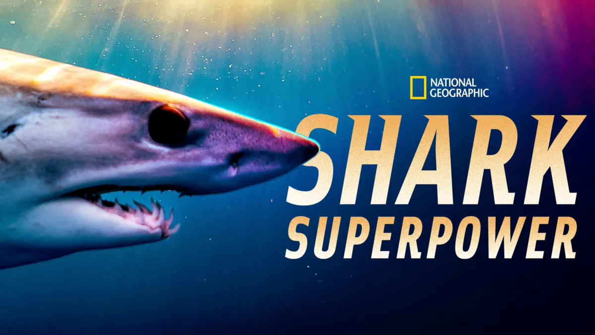 Watch Shark Superpower | Disney+