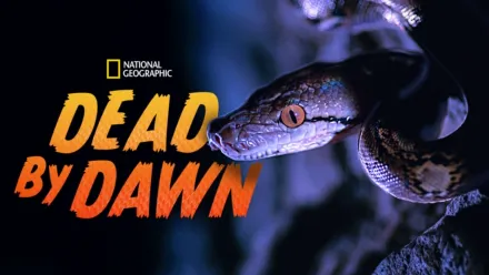 thumbnail - Dead by Dawn