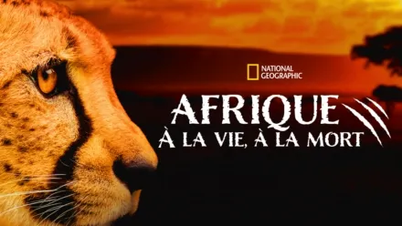 thumbnail - Afrique - À la vie, à la mort