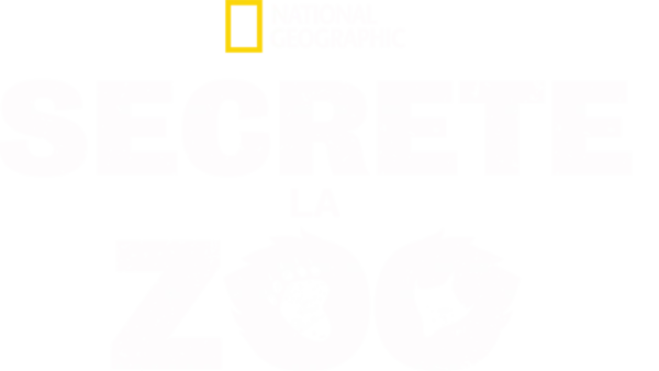 Secrete la zoo