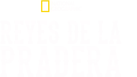 Reyes de la Pradera