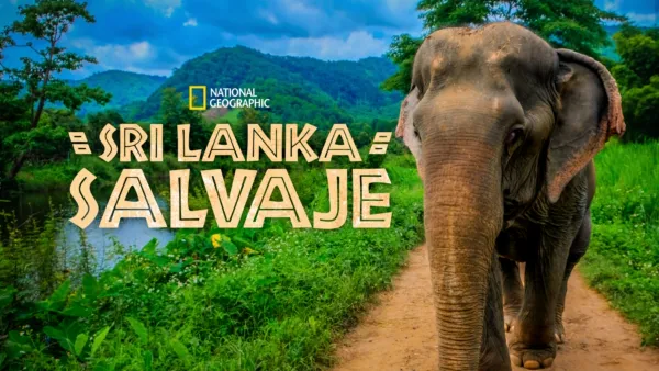 thumbnail - Wild Sri Lanka