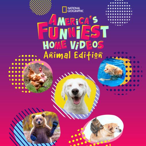 America's funniest 2025 pet videos