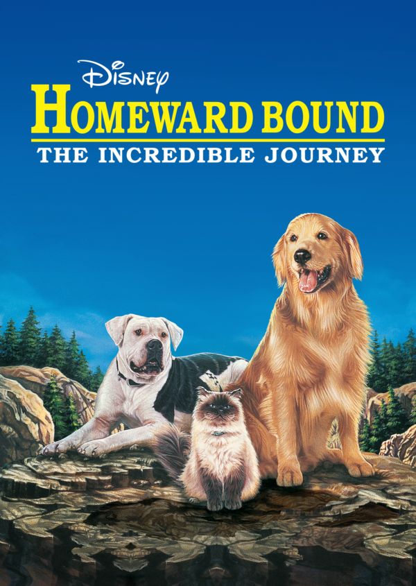 Homeward Bound: The Incredible Journey on Disney+ US