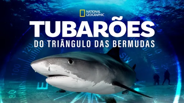 thumbnail - Tubarões do Triângulo das Bermudas