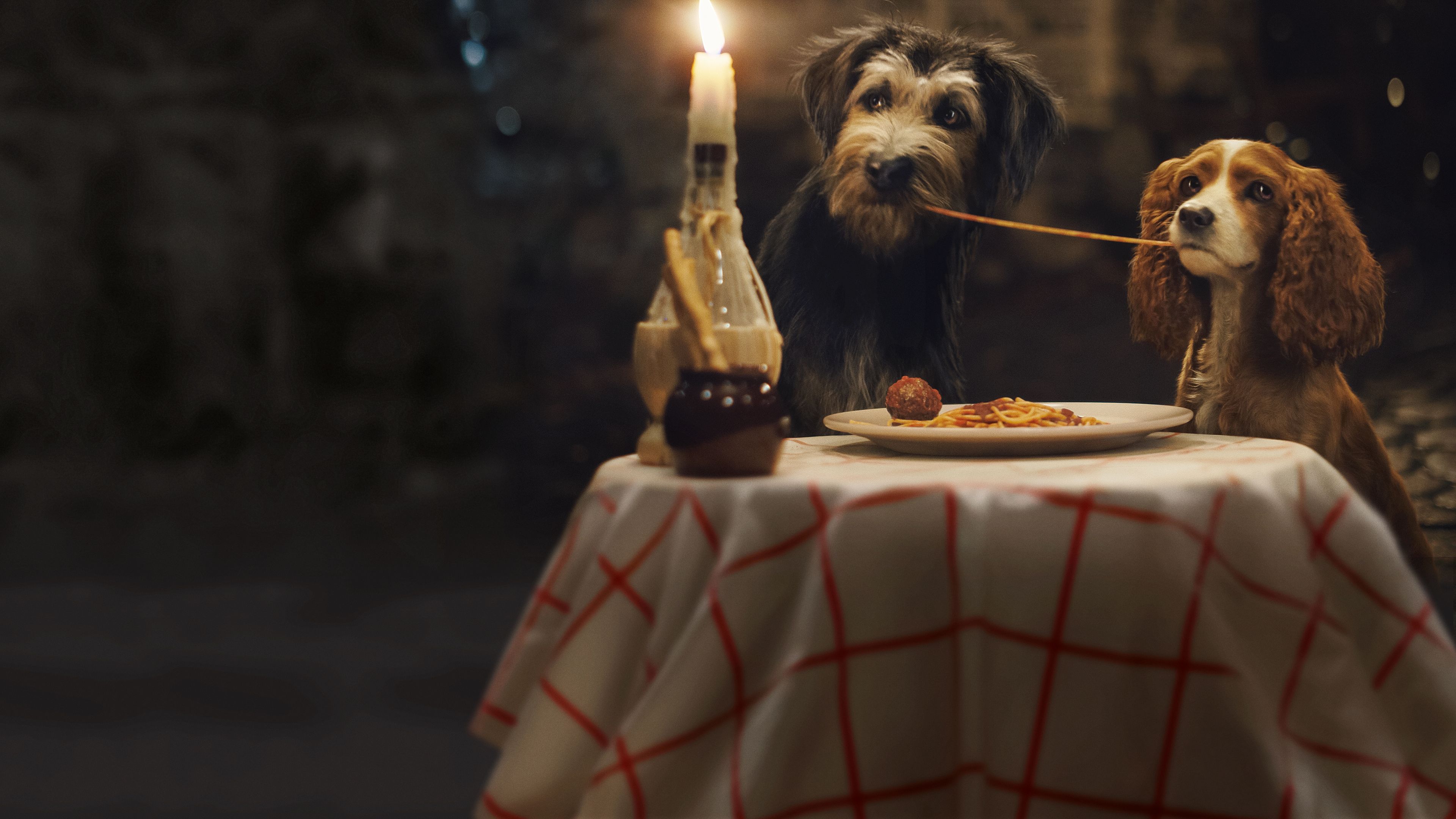 Image result for lady and the tramp 2019