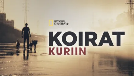 thumbnail - Koirat kuriin