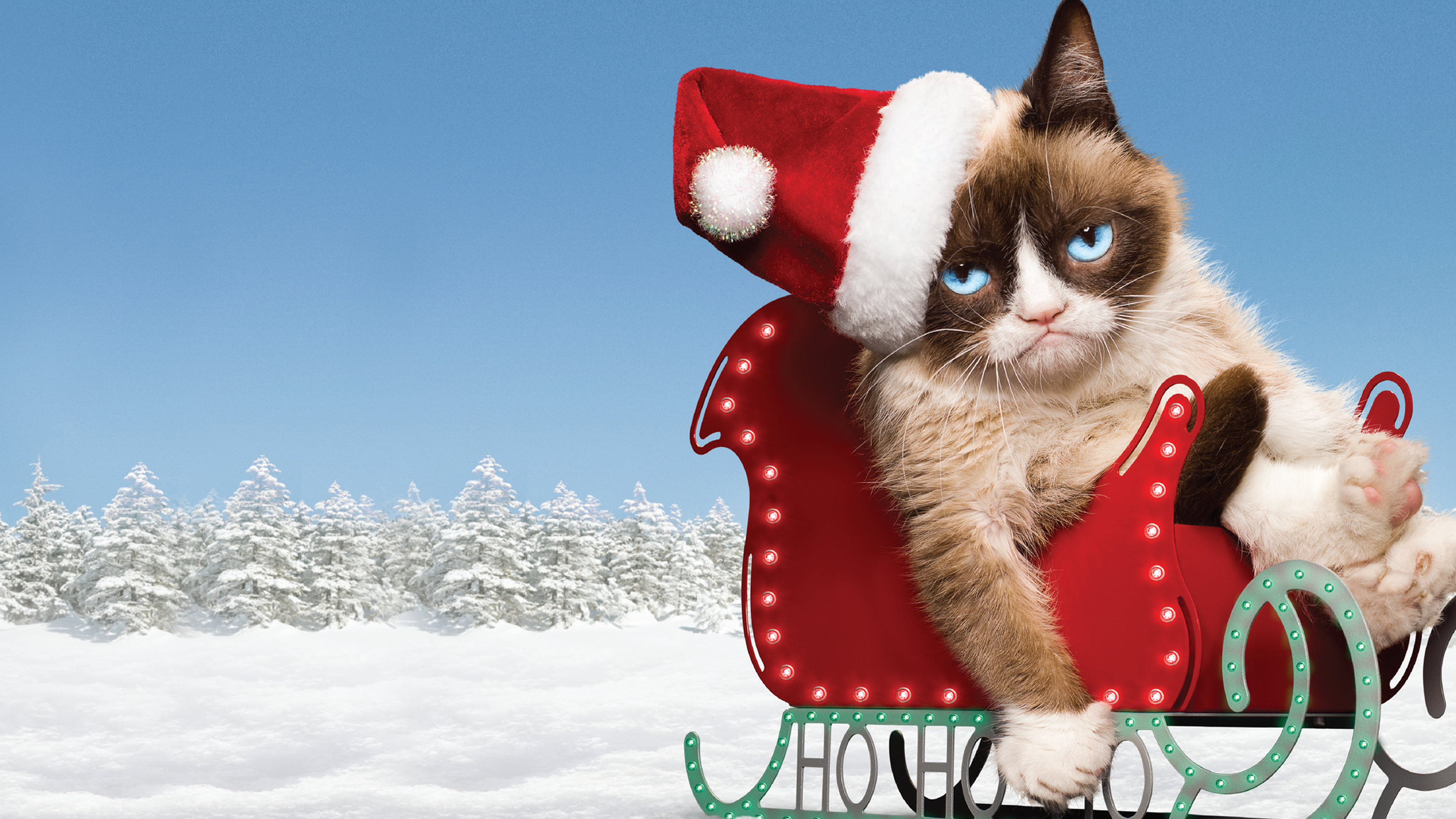 Grumpy Cat's Worst Christmas Ever