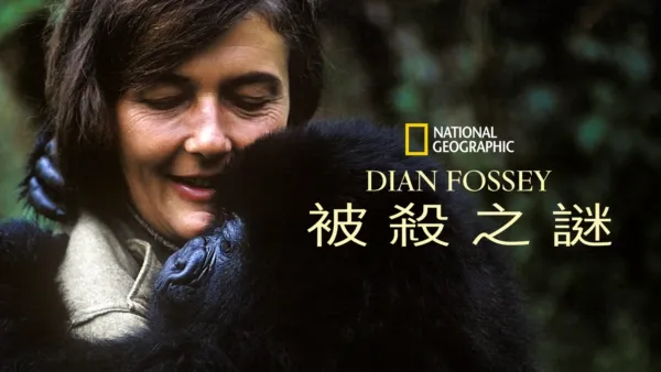 thumbnail - Dian Fossey被殺之謎