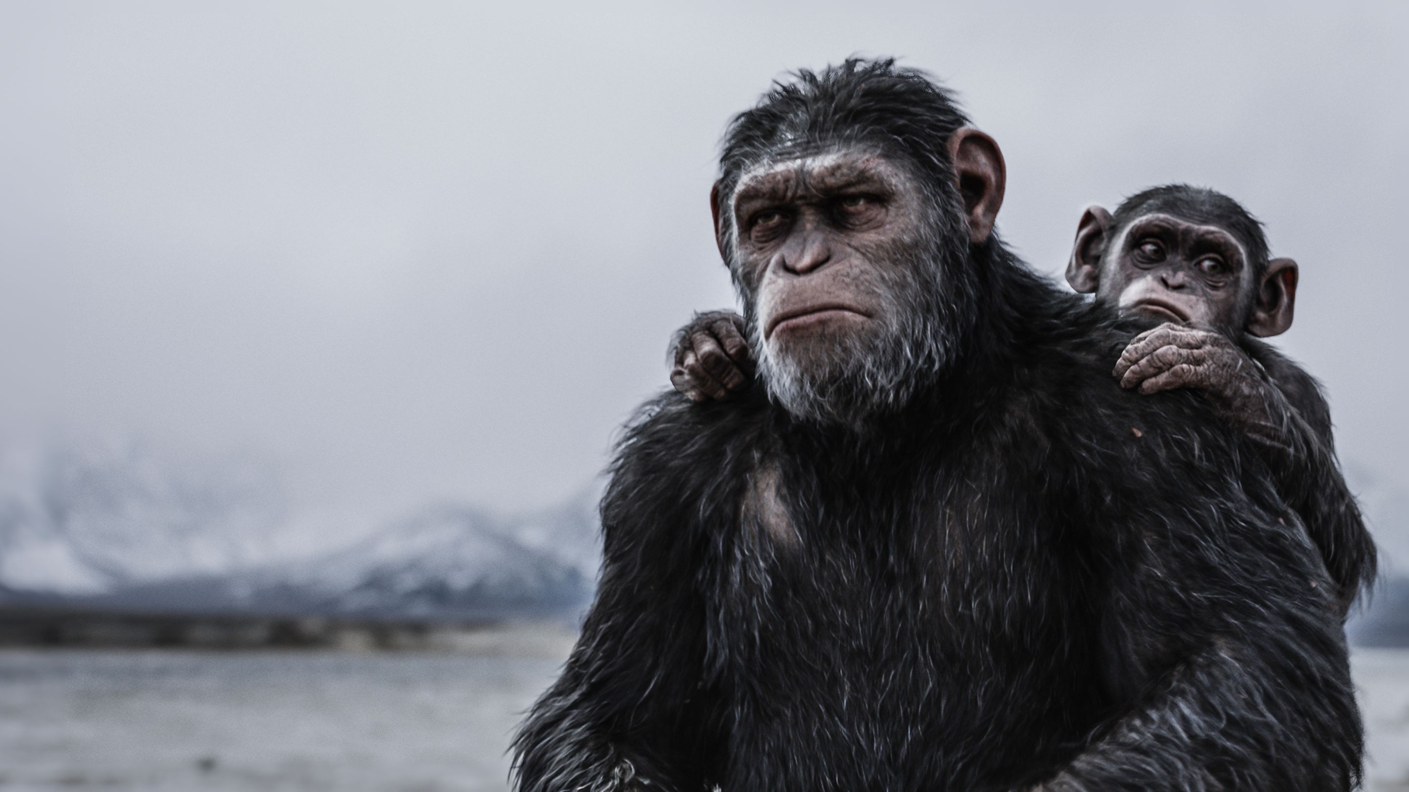 watch rise of the planet of the apes full movie online free