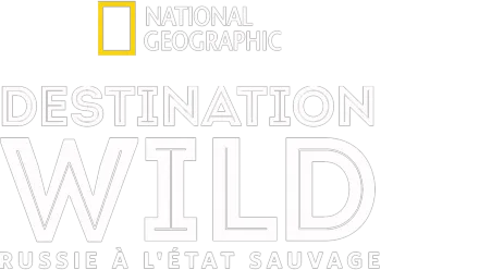 Destination Wild : Russie à l'État Sauvage