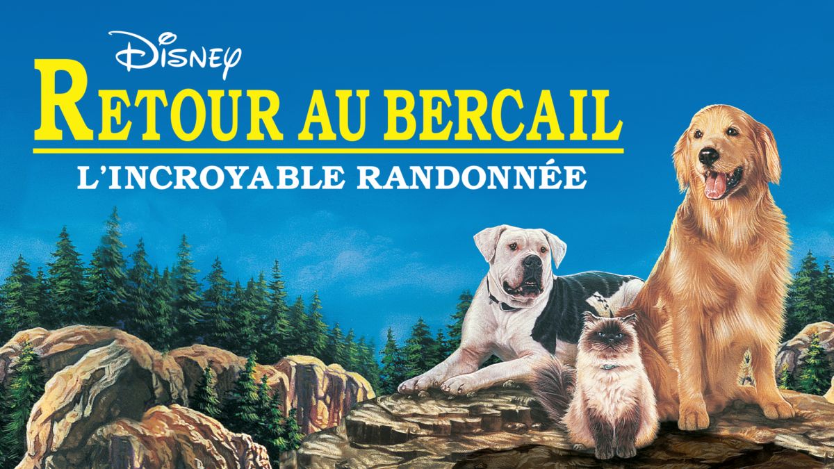 Retour Au Bercail Film Regardez Retour au bercail : L’Incroyable Randonnée | Film complet