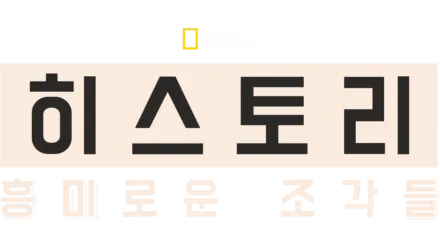 히스토리: 흥미로운 조각들