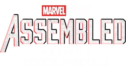 Assembled: Fekete Párduc 2. werkfilm