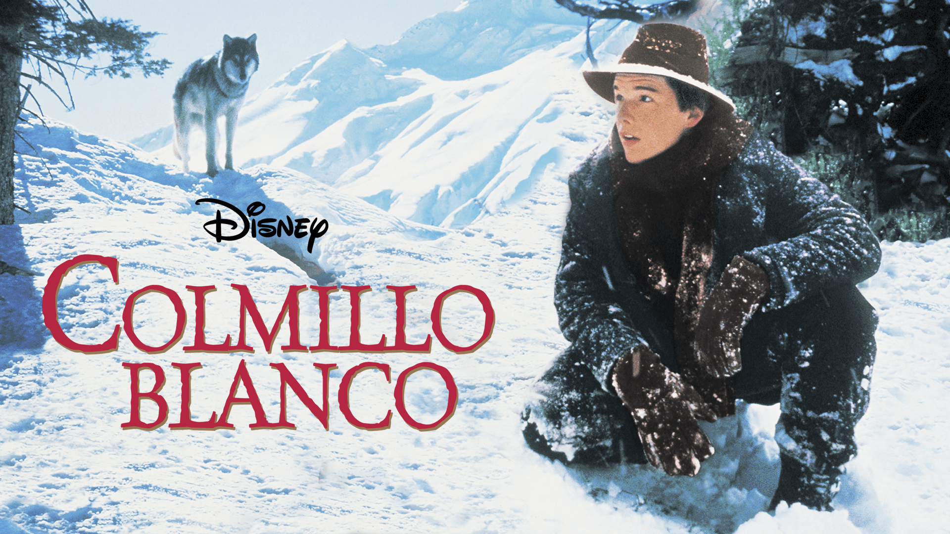 Ver Colmillo Blanco | Película Completa | Disney+