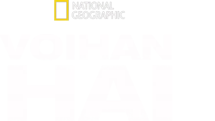 Voihan hai