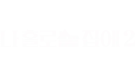 나 홀로 집에 2